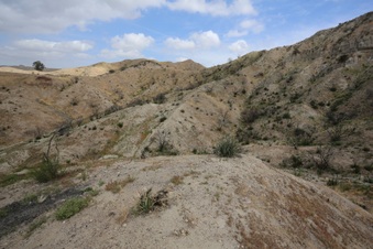 Enlarge photo 76
