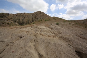 Enlarge photo 77