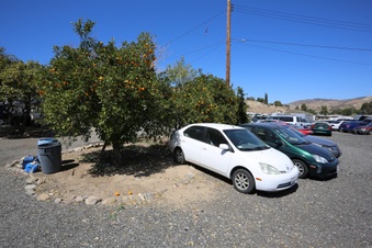Enlarge photo 40