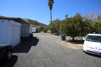Enlarge photo 43
