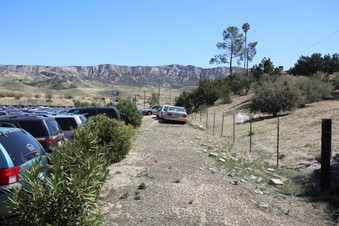 Enlarge photo 54