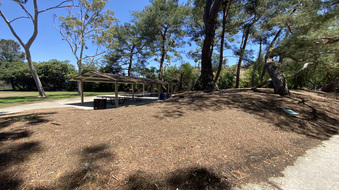 Enlarge photo 12