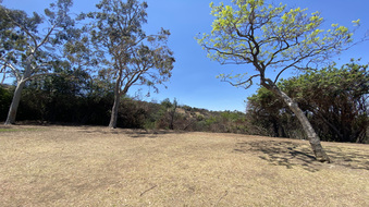 Enlarge photo 14