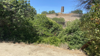 Enlarge photo 25