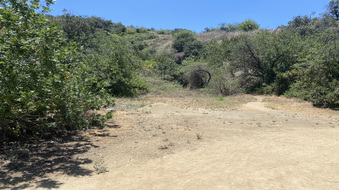 Enlarge photo 26