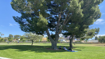 Enlarge photo 5