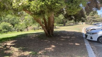 Enlarge photo 12