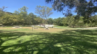 Enlarge photo 17