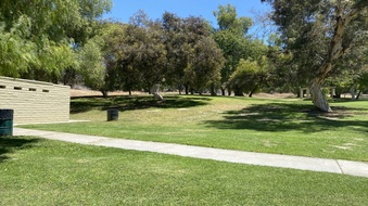 Enlarge photo 22