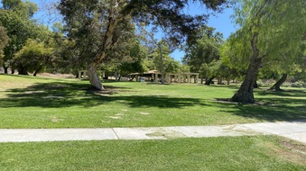 Enlarge photo 23
