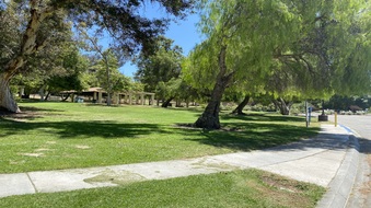 Enlarge photo 24