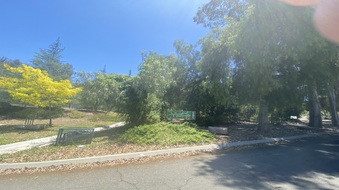 Enlarge photo 29