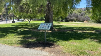 Enlarge photo 31