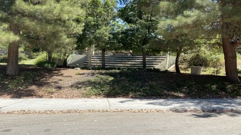 Enlarge photo 35