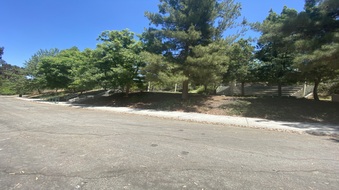 Enlarge photo 36