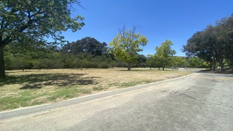 Enlarge photo 38