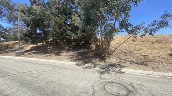 Enlarge photo 40