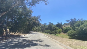 Enlarge photo 42