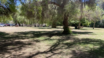 Enlarge photo 45