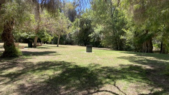 Enlarge photo 46
