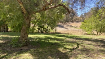 Enlarge photo 47