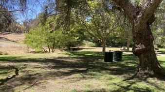 Enlarge photo 48