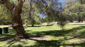 Enlarge photo 49