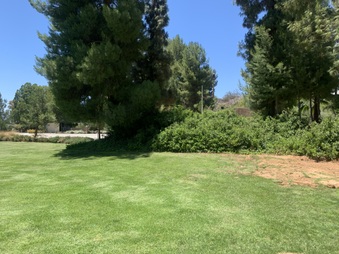 Park for Pig Pit