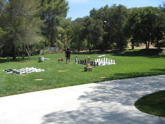 Enlarge photo 37