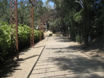Enlarge photo 55