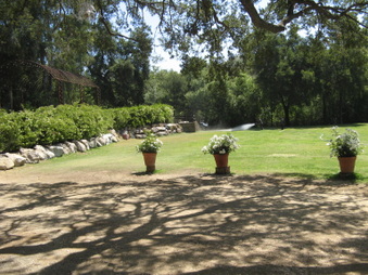 Enlarge photo 58