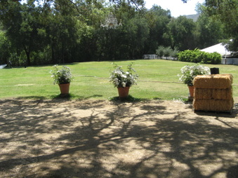 Enlarge photo 59
