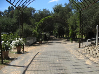 Enlarge photo 61