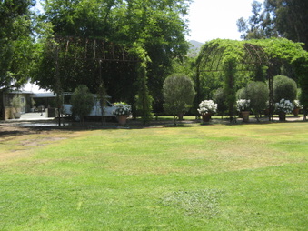 Enlarge photo 66