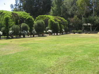 Enlarge photo 67