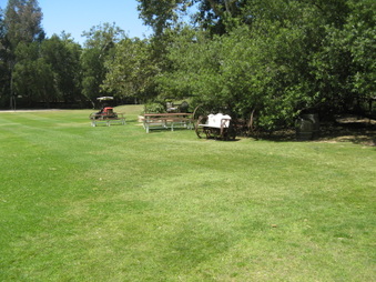 Enlarge photo 111