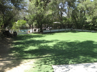 Enlarge photo 121