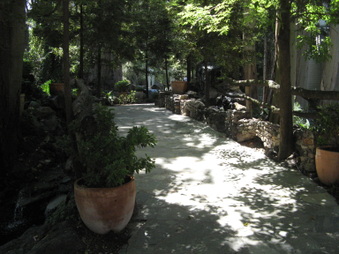 Enlarge photo 135