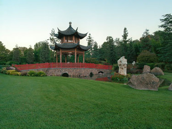 Enlarge photo 66