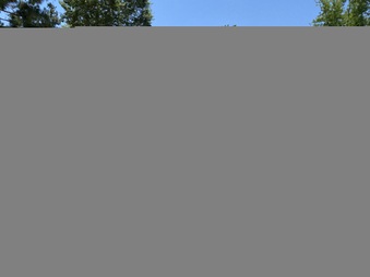Enlarge photo 71