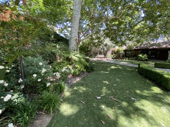 Enlarge photo 41