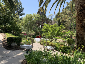 Enlarge photo 2