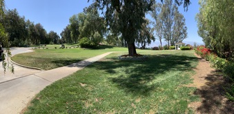 Enlarge photo 69