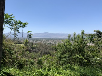 Enlarge photo 52