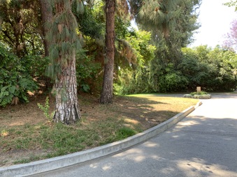 Enlarge photo 59