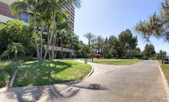 Enlarge photo 134