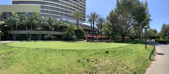 Enlarge photo 135