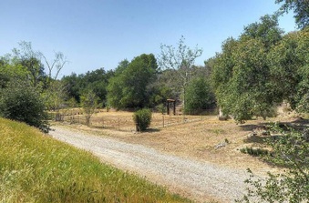 Enlarge photo 25
