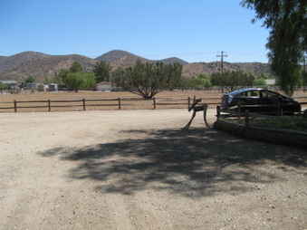 Enlarge photo 5