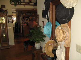 Enlarge photo 9